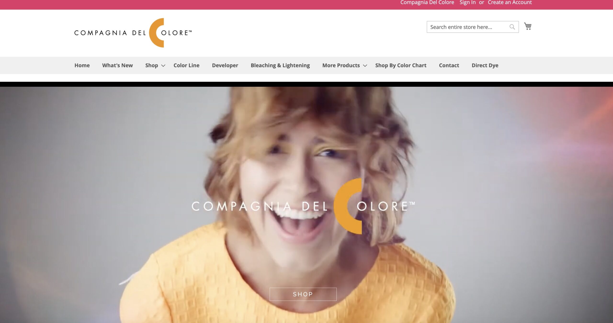 family haven forsyth non-profit